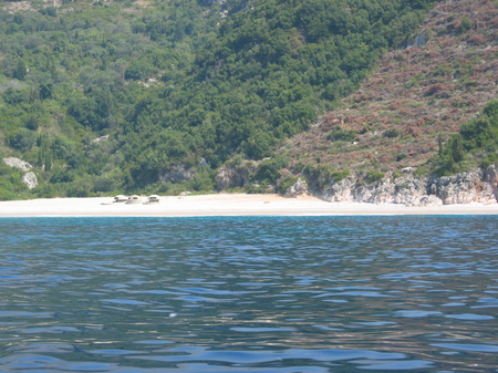 bunkeret ne dhermi