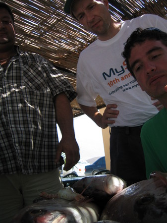 thefish